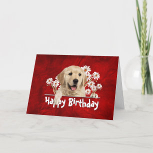Birthday Golden Retriever op rood leder Kaart
