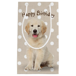 Birthday Golden Retriever puppy op pooldots Klein Cadeauzakje