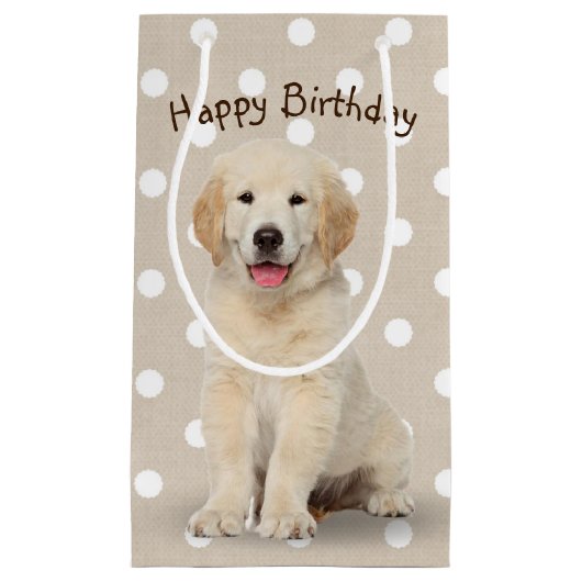 Birthday Golden Retriever puppy op pooldots Klein Cadeauzakje (Voorkant)