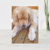 Birthday gouden rector met kikker kaart (Voorkant)