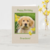 Birthday, Grandson, Golden Retriever Dog Kaart (Gele Bloem)