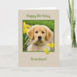 Birthday, Grandson, Golden Retriever Dog Kaart<br><div class="desc">Nothing says "love" more than the big brown eyes of a Golden Retriever pup.  Add a few yellow daffodils and you have a way to wish someone a happy birthday.  Feel free to change the inside verses to suit your needs.</div>