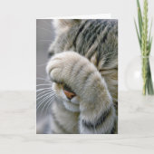 Birthday Gray Tabby Cat Getting Old Humor Kaart (Voorkant)