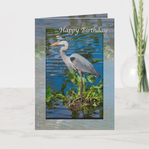 Birthday, Great Blue Heron in Lake Kaart