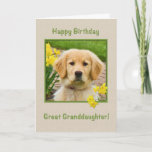 Birthday, Great Granddaughter, Golden Retriever Kaart<br><div class="desc">Nothing says "love" more than the big brown eyes of a Golden Retriever pup.  Add a few yellow daffodils and you have a way to wish someone a happy birthday.  Feel free to change the inside verses to suit your needs.</div>