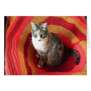 Birthday Greeting Cat over de Kaart van Afghaans H