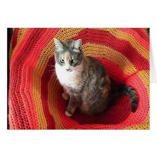 Birthday Greeting Cat over de Kaart van Afghaans H (Voorkant Horizontaal)