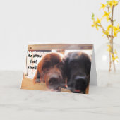Birthday Greeting ~ Dog humor Kaart (Gele Bloem)