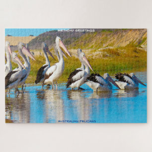 Birthday Greetings Australian Pelicans Legpuzzel