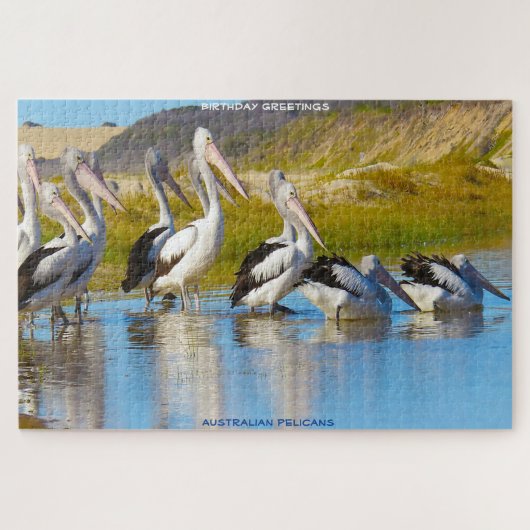 Birthday Greetings Australian Pelicans Legpuzzel (Horizontaal)