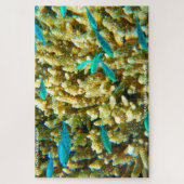 Birthday Greetings Coral Reef Australië Legpuzzel (Verticaal)