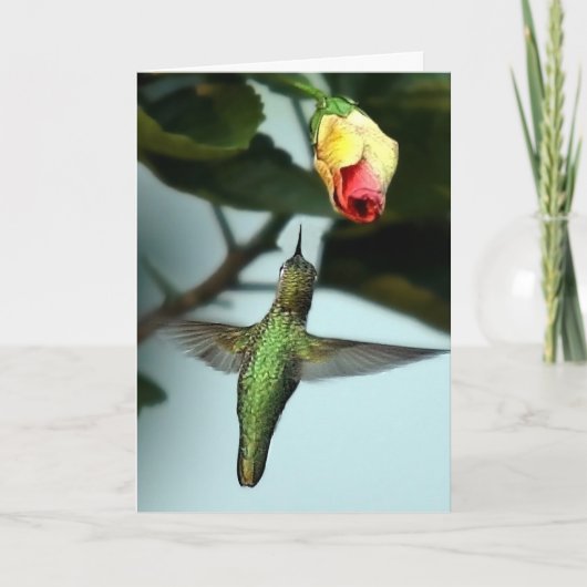 Birthday Greetings Hummingbird Kaart (Voorkant)