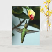 Birthday Greetings Hummingbird Kaart (Gele Bloem)