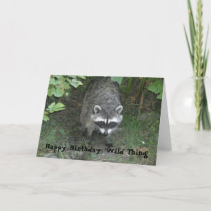 Birthday Greetings - Raccoon Kaart