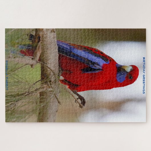 Birthday Greetings Rosella Parrot Legpuzzel (Horizontaal)
