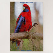 Birthday Greetings Rosella Parrot Legpuzzel (Verticaal)