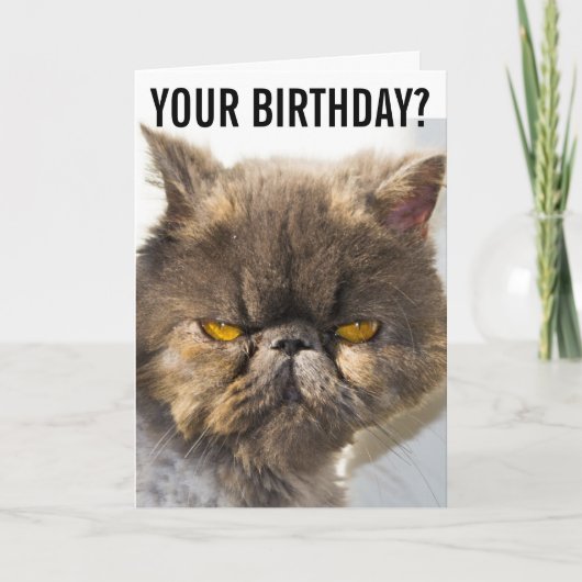 BIRTHDAY GRUMPY PERSIAN CAT FUNNY Wenskaart Kaart (Voorkant)