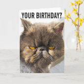 BIRTHDAY GRUMPY PERSIAN CAT FUNNY Wenskaart Kaart (Gele Bloem)
