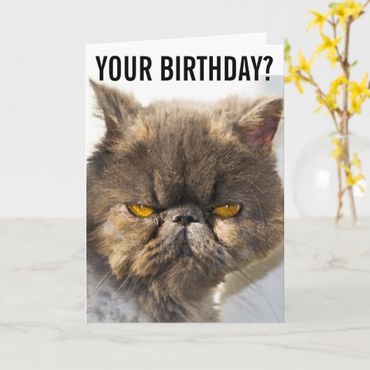 BIRTHDAY GRUMPY PERSIAN CAT FUNNY Wenskaart Kaart (Gele Bloem)