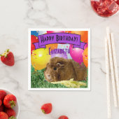 Birthday Guinee-Bisschoppenballonnen van de kinder Servet (Insitu)