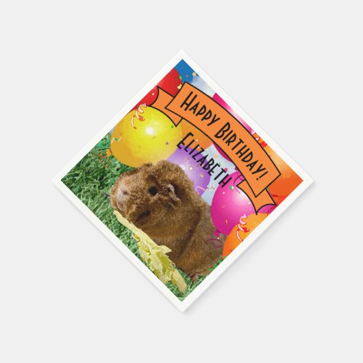 Birthday Guinee-Bisschoppenballonnen van de kinder Servet (Hoek)