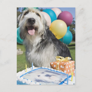 Birthday hond briefkaart