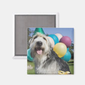 Birthday hond magneet (Voorkant / Achterkant)