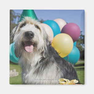 Birthday hond magneet