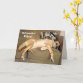 Birthday Hound Dog Kaart (Gele Bloem)