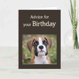Birthday Humor Cute Dog Inspirerend Humor Adviseur Kaart