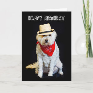 BIRTHDAY - HUMOR - DOG/COWBOY PET EN SCARF KAART
