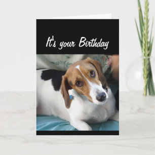 'Birthday'-Humor eet niet alles wat Cute Dog doet Kaart