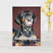 Birthday Humor - glimlachend Doberman Pinscher Pup Kaart (Gele Bloem)