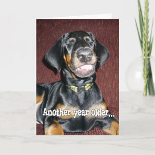 Birthday Humor - glimlachend Doberman Pinscher Pup Kaart