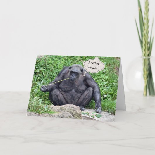 Birthday humor met chimpansee kaart (Voorkant)