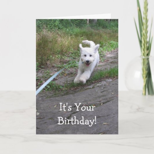 Birthday Humor met Cute Running Goldendole Pup Kaart (Voorkant)