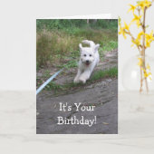 Birthday Humor met Cute Running Goldendole Pup Kaart (Gele Bloem)