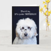 BIRTHDAY - HUMOR W/DOG/ZWARTE RIM GLASSEN KAART (Gele Bloem)