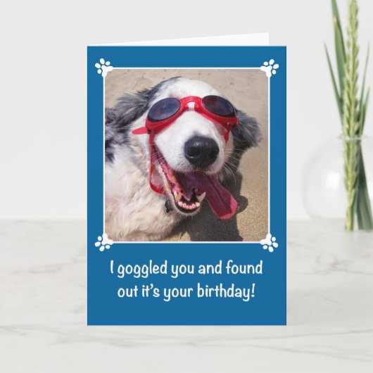 Birthday - I Goggled You - Australian Shepherd Dog Kaart (Voorkant)