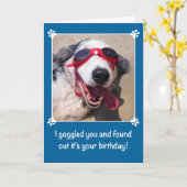 Birthday - I Goggled You - Australian Shepherd Dog Kaart (Gele Bloem)