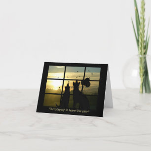 Birthday in Home Corona Virus Funny Support Kaart