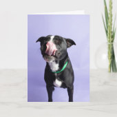 Birthday-kaart Kaart (Voorkant)