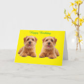 Birthday-kaart Kaart (Gele Bloem)