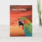Birthday Kaart met Colorful Parrot & Sunset (Voorkant)