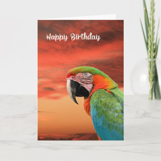 Birthday Kaart met Colorful Parrot & Sunset (Voorkant)