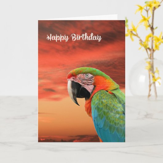 Birthday Kaart met Colorful Parrot & Sunset (Gele Bloem)