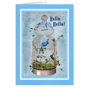 Birthday Kaart met papegaai in  kooi