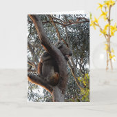 Birthday-kaart - Sleeping Koala Kaart (Gele Bloem)