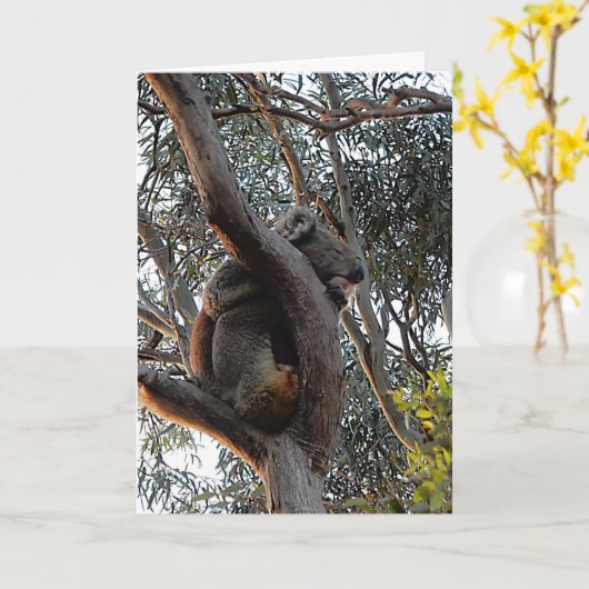 Birthday-kaart - Sleeping Koala Kaart (Gele Bloem)