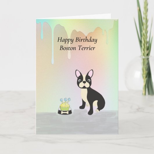 Birthday Kaart voor Boston Terrier Dog (Voorkant)